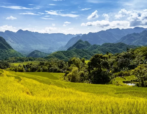 Tour 2D1N Pu Luong : A Breathtaking Adventure in Vietnam’s Countryside