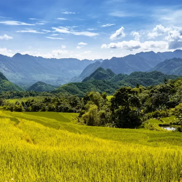 Tour 2D1N Pu Luong : A Breathtaking Adventure in Vietnam’s Countryside