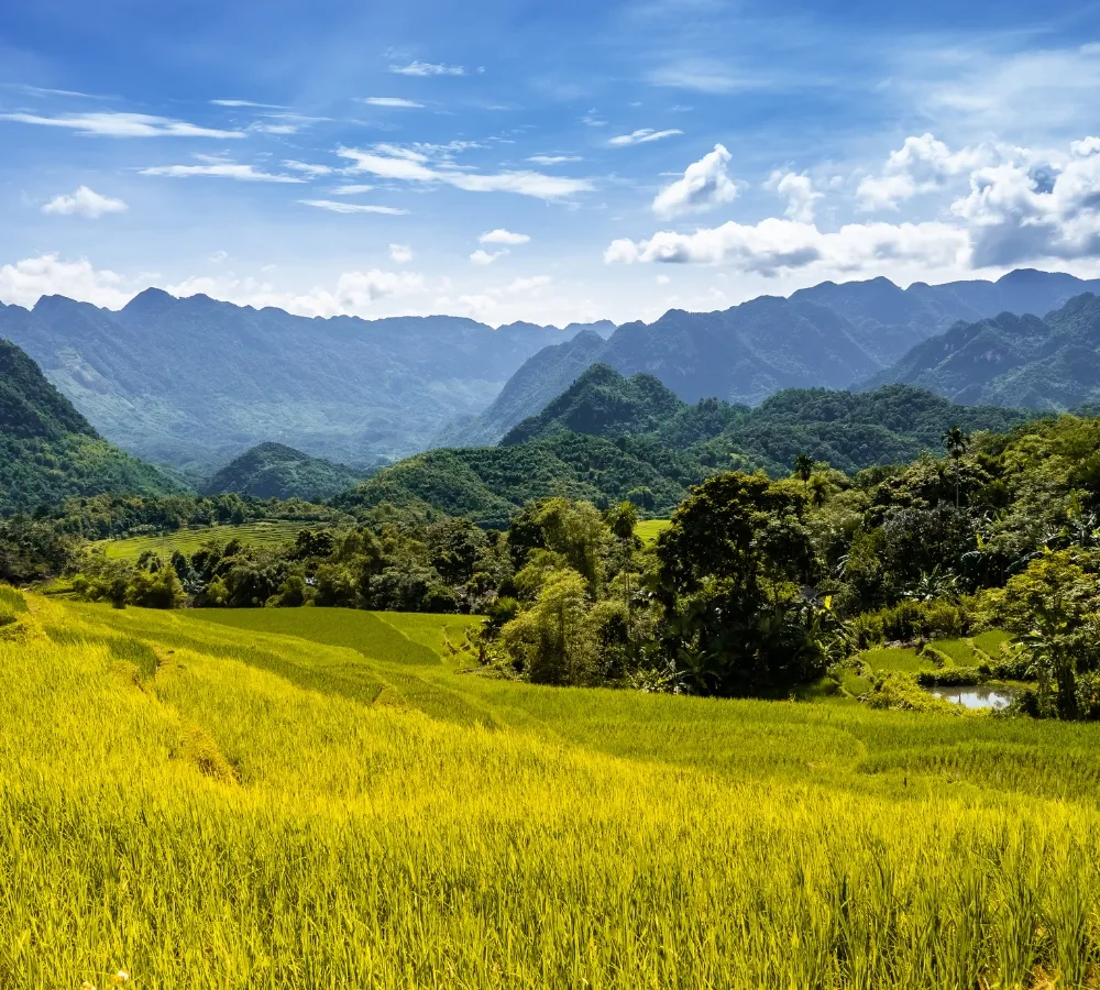 Tour 2 ngày 1 đêm Pù Luông: Cuộc phiêu lưu ngoạn mục ở vùng nông thôn Việt Nam