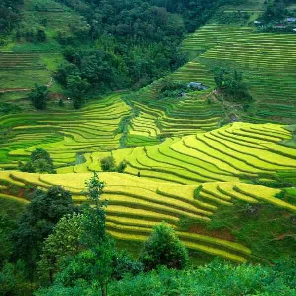 Ha Giang Explore