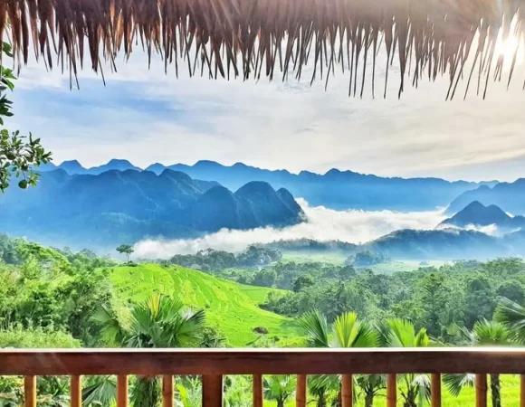 Tour 3D2N Pu Luong Discovery – Unveil the Secrets of Northern Vietnam