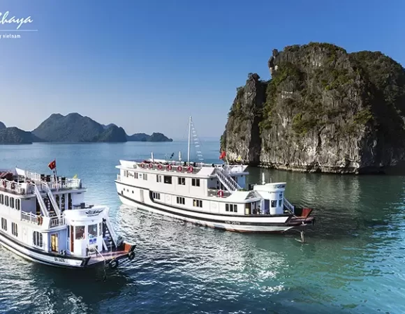 Bhaya Classic Cruises