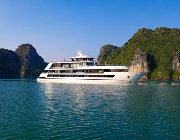 Stellar Of The Seas Cruise