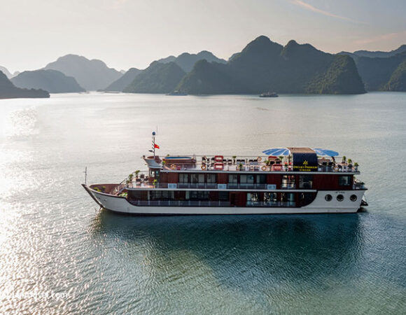 Orchid Premium Cruise