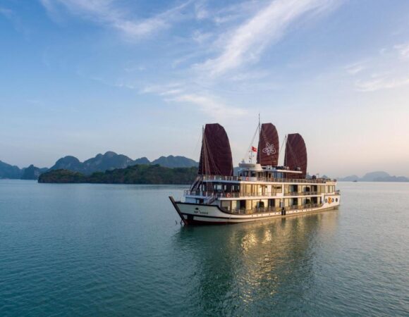 Orchid Trendy Cruise